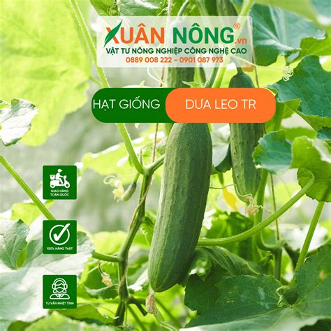 dua leo tr 18+|Dưa Leo Team [Tới Chap 672359] .